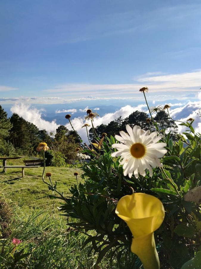 El Pital Ecolodge San Ignacio Esterno foto